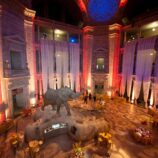 Natural History Museum 
