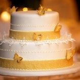 Small two-tier wedding cake with butterflys