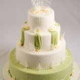 Daisy wedding cake photoshoot